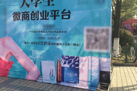 山阴融资清欠服务